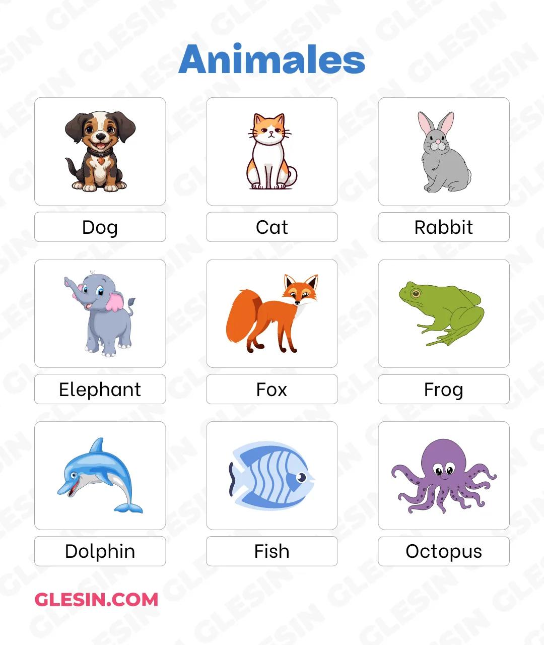Animales · Clases de inglés para niños